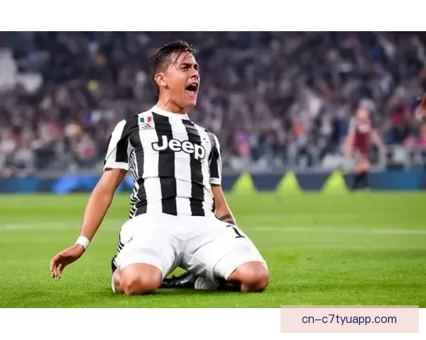 官方新潟天鹅续约前锋达尼洛